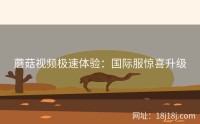 蘑菇视频极速体验:国际服惊喜升级