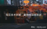 探花技术拆解:暑期档深夜放送
