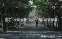 探花·视觉焕新·技巧汇编·超清解析