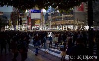 热度爆表国产探花——明日预测大神齐聚