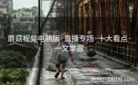 蘑菇视频电脑版·直播专场·十大看点·一文掌握