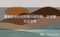 蘑菇影视在线观看升级攻略：正式服玩法全解
