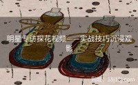 明星专访探花视频——实战技巧沉浸观影