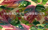 粉丝视角国产探花(AI增强版)沉浸观影