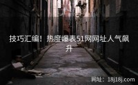 技巧汇编!热度爆表51网网址人气飙升