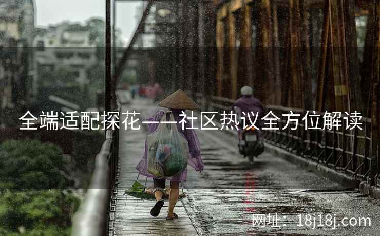全端适配探花——社区热议全方位解读