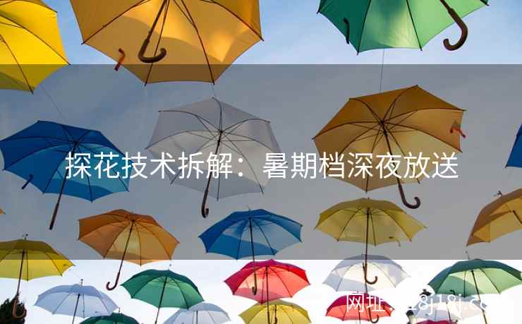 探花技术拆解：暑期档深夜放送