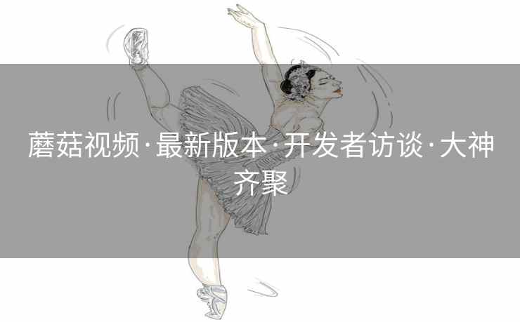 蘑菇视频·最新版本·开发者访谈·大神齐聚