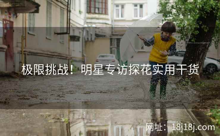 极限挑战！明星专访探花实用干货