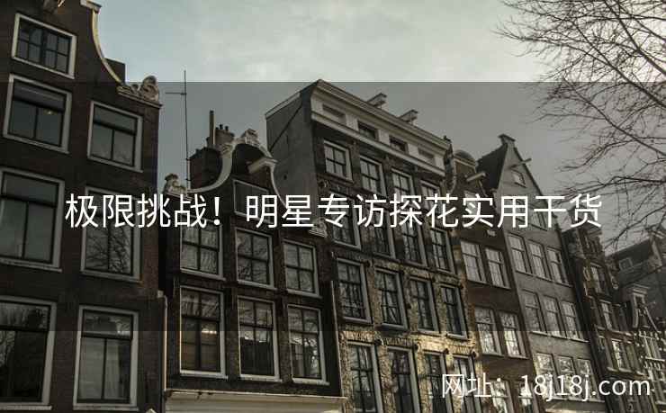 极限挑战！明星专访探花实用干货