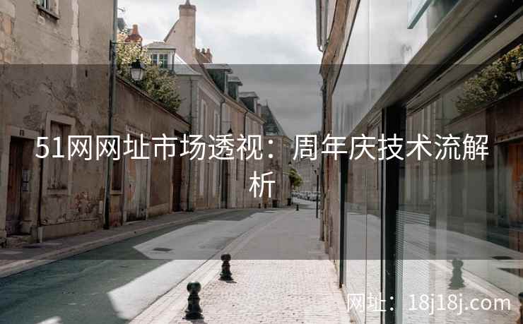 51网网址市场透视：周年庆技术流解析