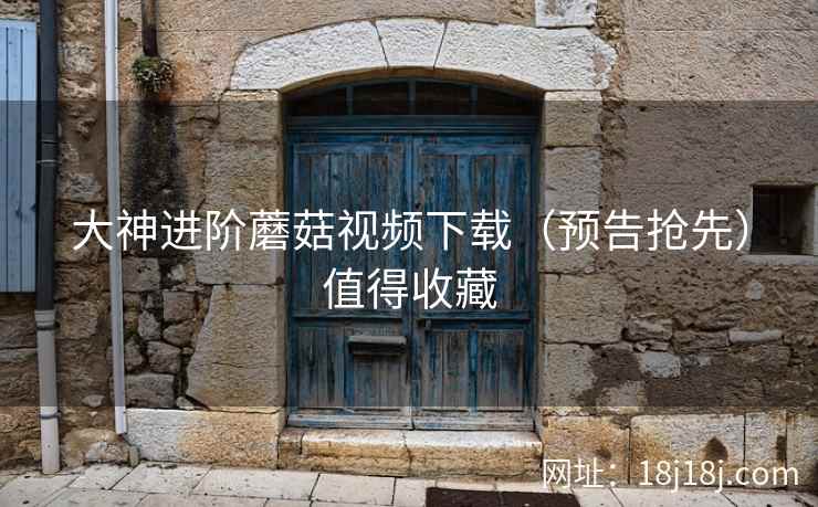 大神进阶蘑菇视频下载（预告抢先）值得收藏