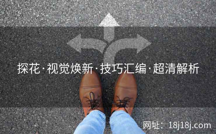 探花·视觉焕新·技巧汇编·超清解析