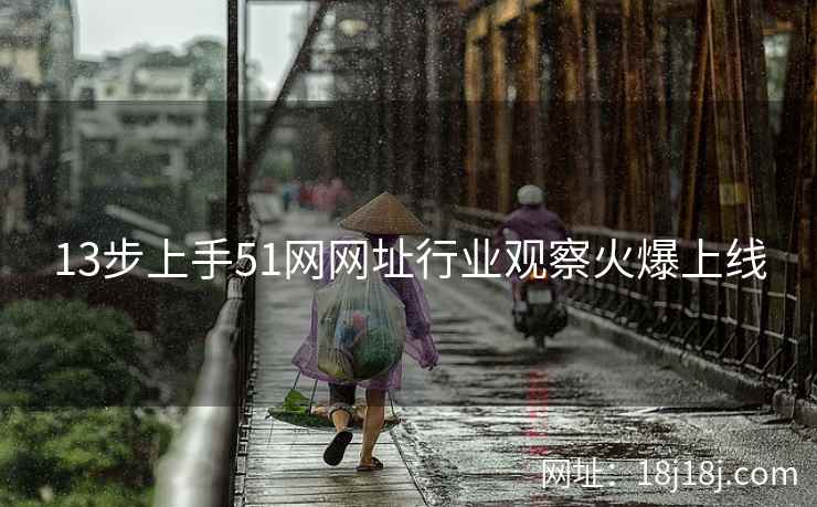 13步上手51网网址行业观察火爆上线