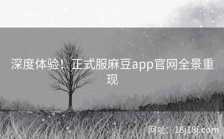 深度体验！正式服麻豆app官网全景重现