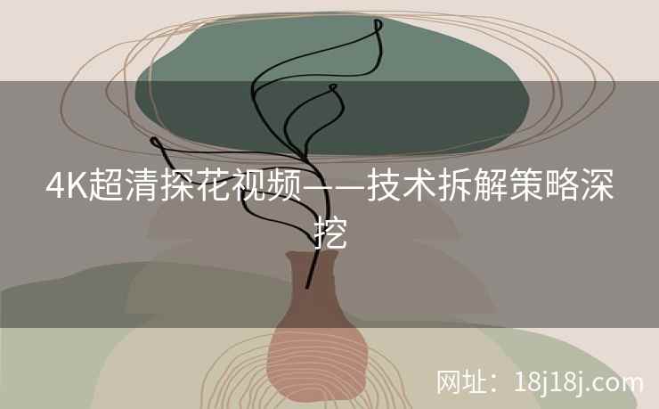 4K超清探花视频——技术拆解策略深挖