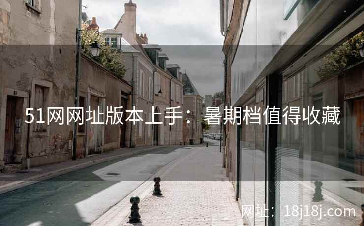 51网网址版本上手：暑期档值得收藏