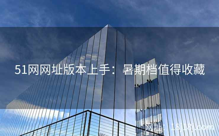 51网网址版本上手：暑期档值得收藏